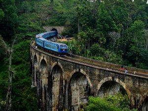 Scenic Tour by Train